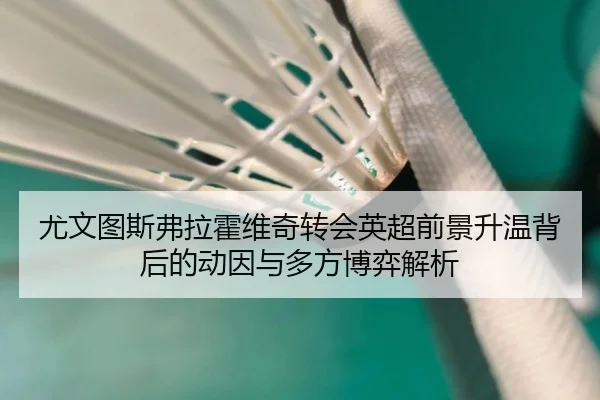 尤文图斯弗拉霍维奇转会英超前景升温背后的动因与多方博弈解析